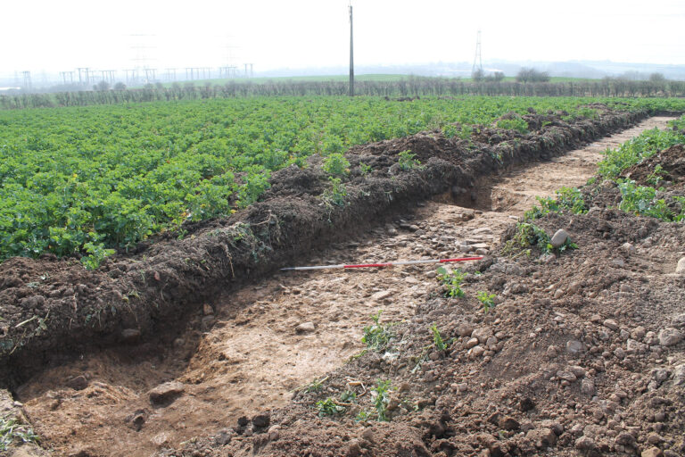 Co Durham Feb March 2022 2 768x512