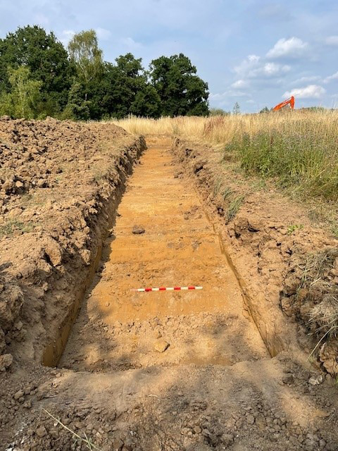 LLW Tr28 shallow onto nat clay